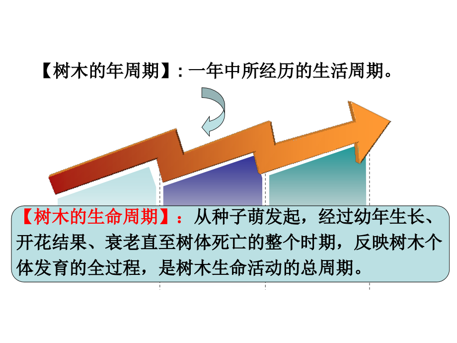 园林树木栽培学 复习_第3页