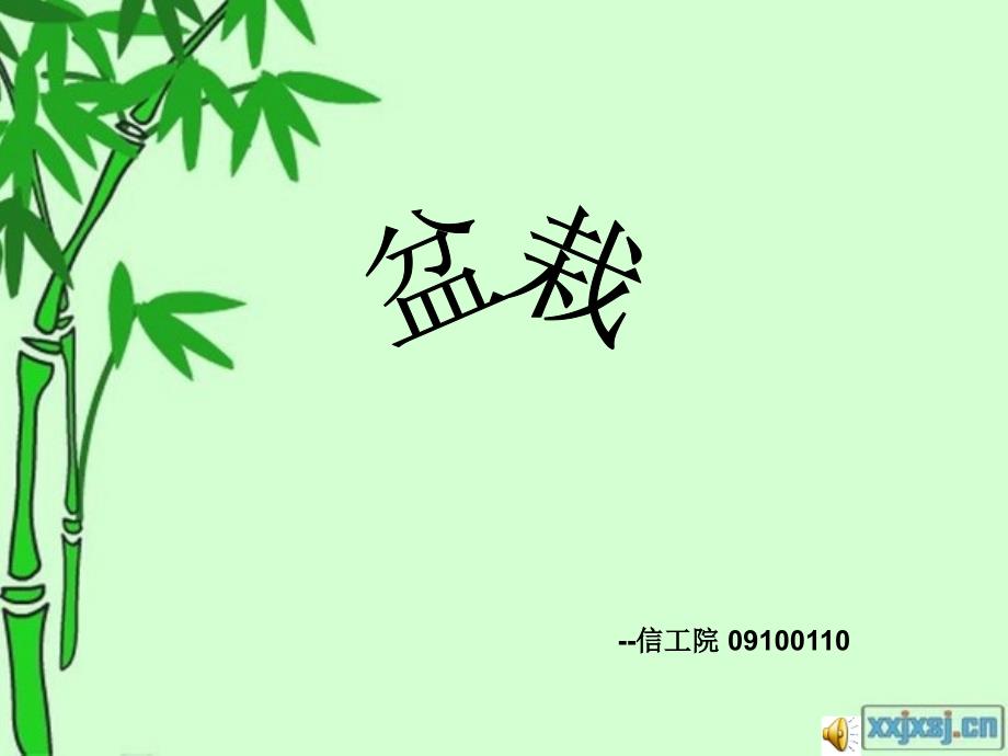 关于盆栽的ppt,还有一些常见的盆栽!_第1页