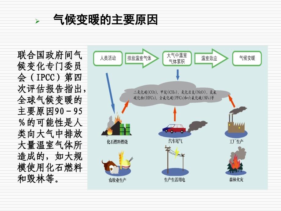 国内外林业碳汇现状_第4页