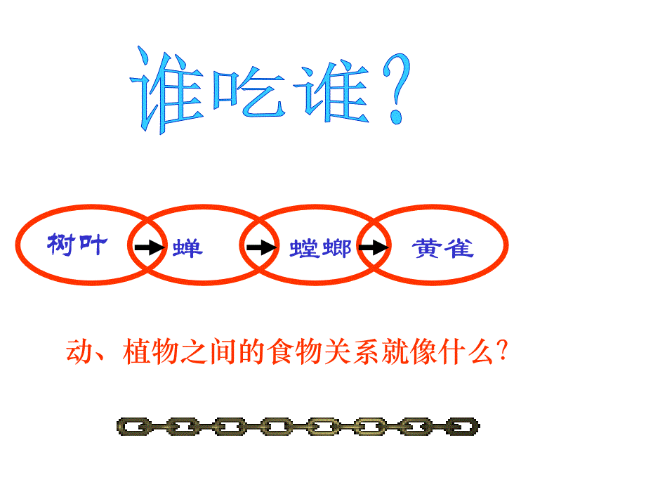 小学科学食物链1_第4页