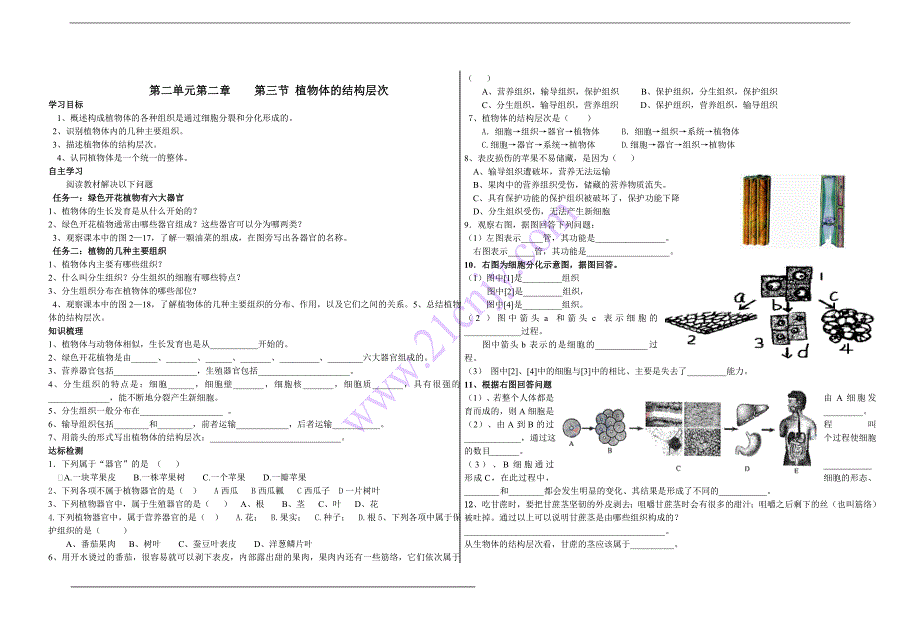 植物体的结构层次学案_第1页