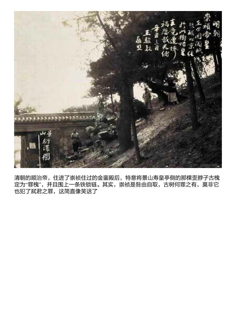 实拍北京景山公园崇祯皇帝上吊的地方,歪脖树很茂盛_第4页