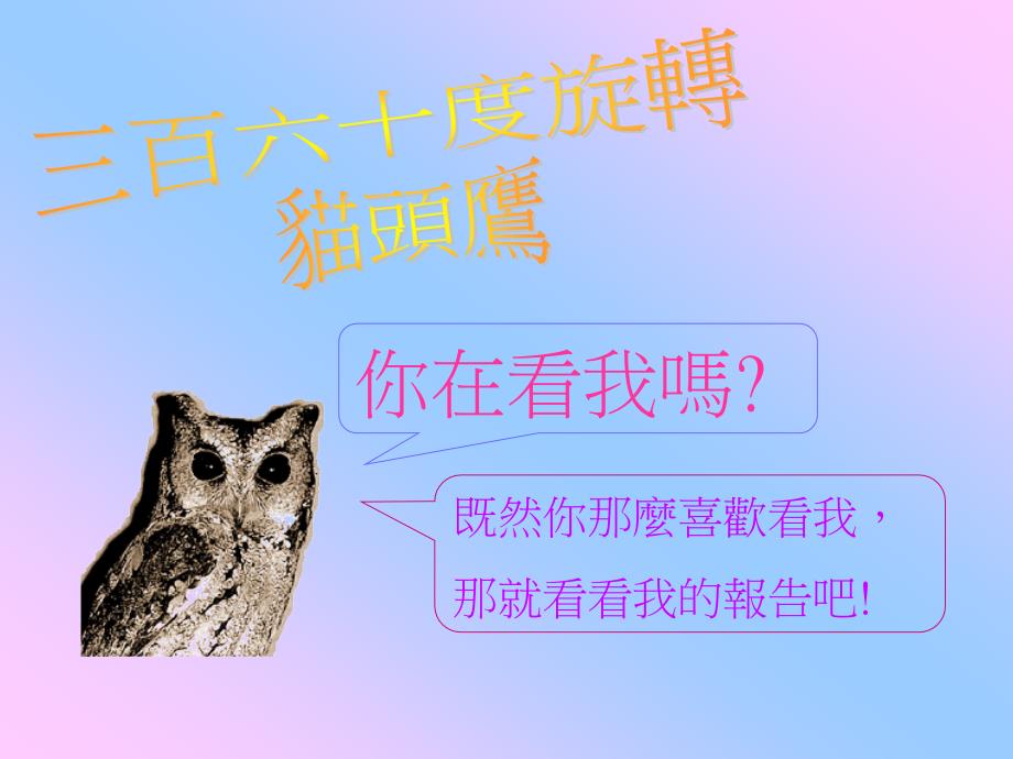 三百六十度旋转猫头鹰_第1页