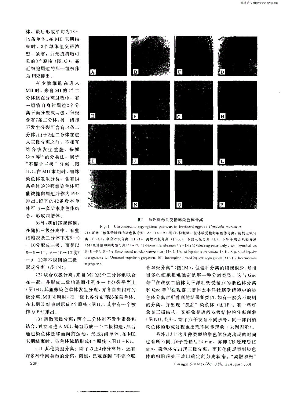 广西科学gu_第3页