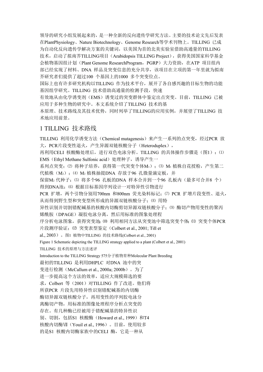 分子生物学新技术tilling 技术的原理与方法述评_第2页