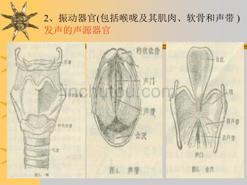 训练磁性嗓音的非常棒的教材_第5页