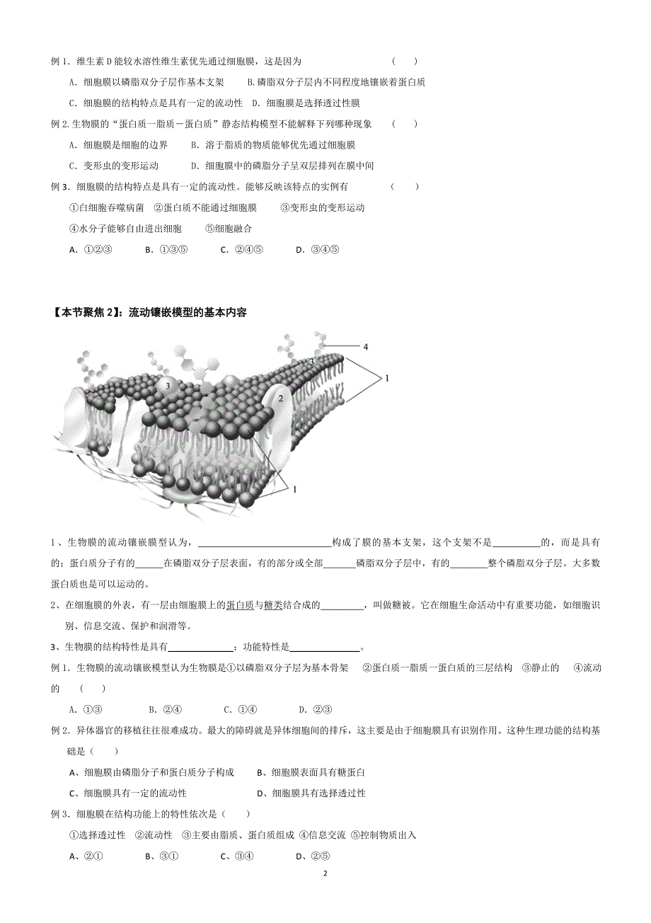 生物膜的流动镶嵌模型_导学案_第2页