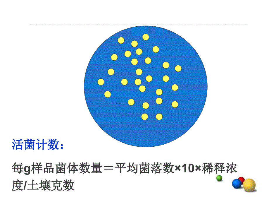 实验十一 平板菌落技术_第4页