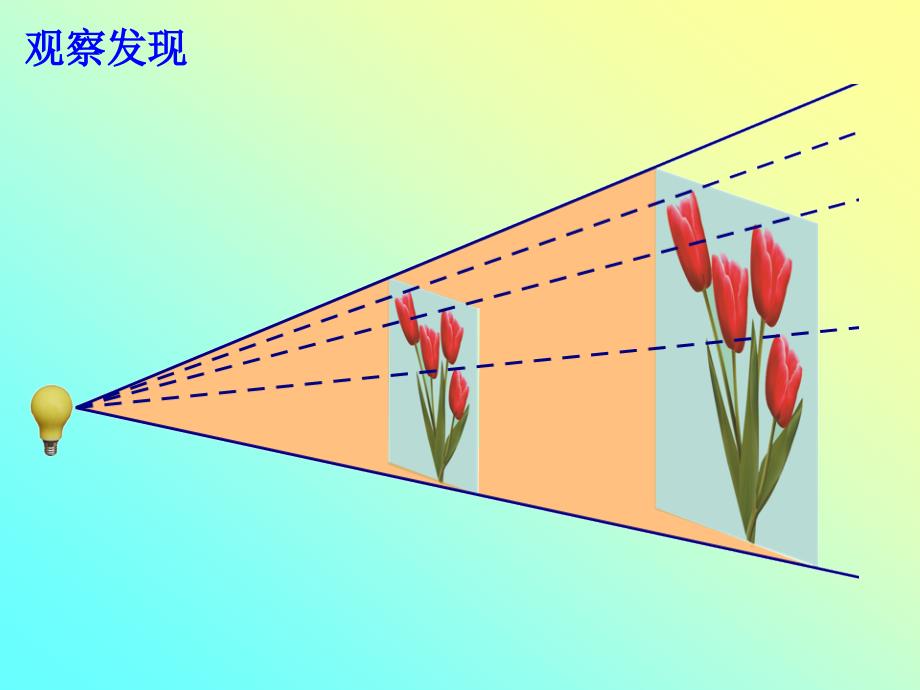 《位似》课件2_第3页