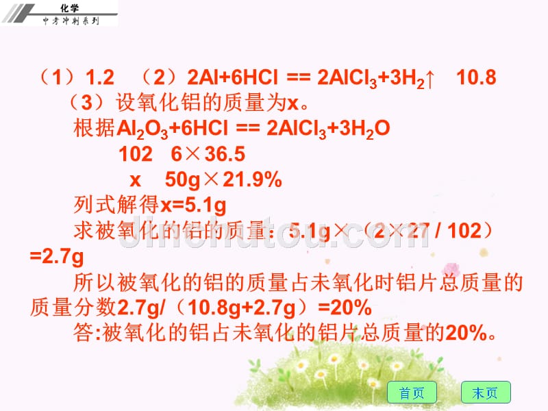 初三化学第二十八章  有关化学方程式的计算(含综合计算) 课堂本 (2)_第5页