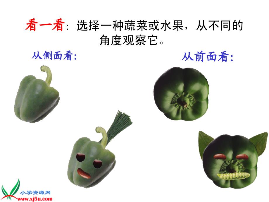 （人教新课标）二年级美术下册课件 蔬果变变 1_第3页