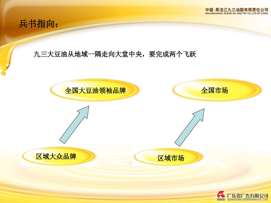 非转基因策划书(省广)_第4页