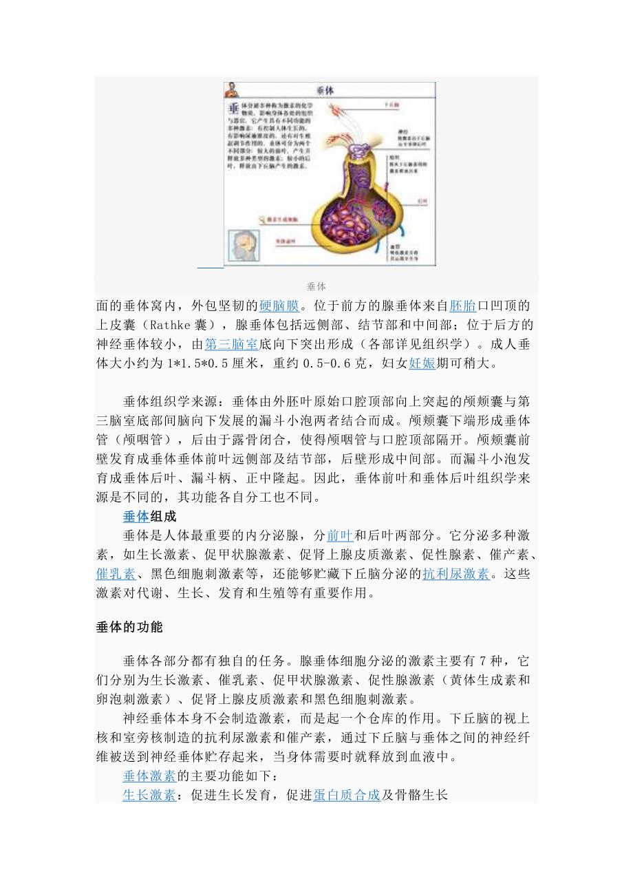 下丘脑相关信息_第2页