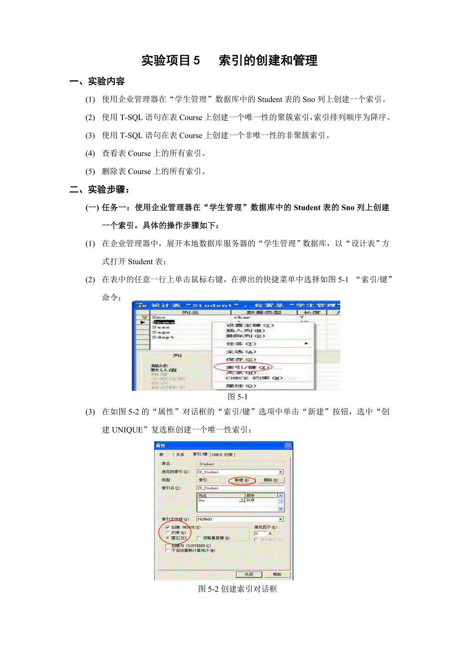 实验项目5索引的创建和管理_第1页