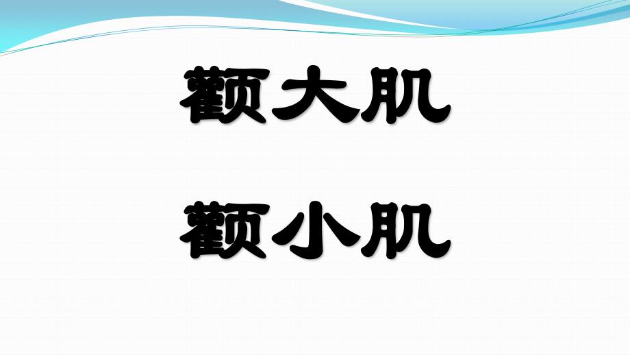 颧大肌、颧小肌_第1页