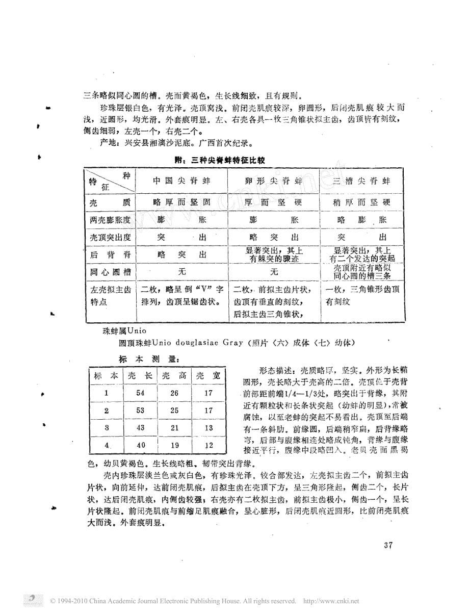 漓江及其邻近水域瓣鳃纲初步调查_第5页