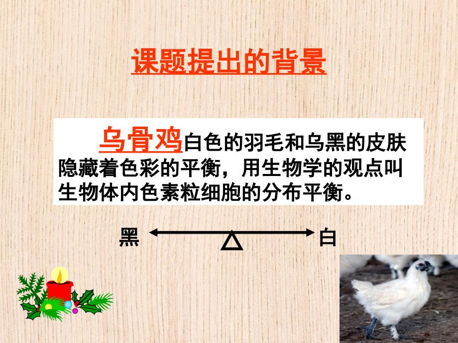 松陵高级中学研究性学习_第3页