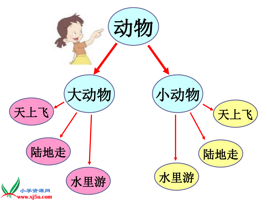 （教科版）三年级科学上册课件 寻访小动物_第2页