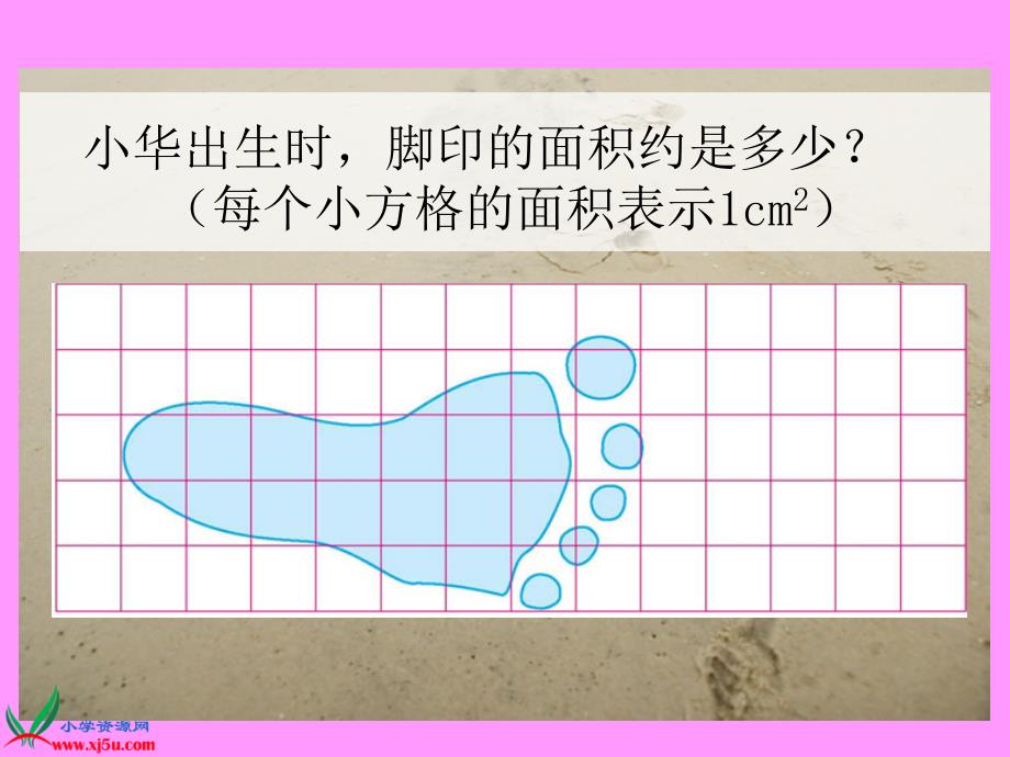 （北师大版）五年级数学上册课件 成长的脚印 1_第4页