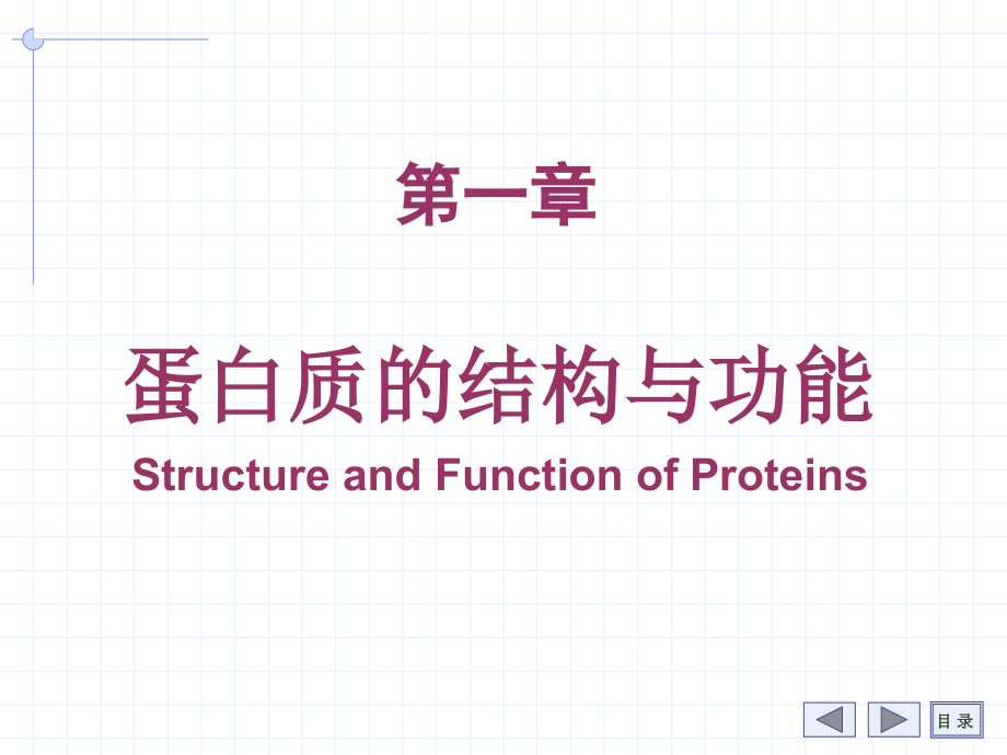 氨基酸、多肽与蛋白质_第3页