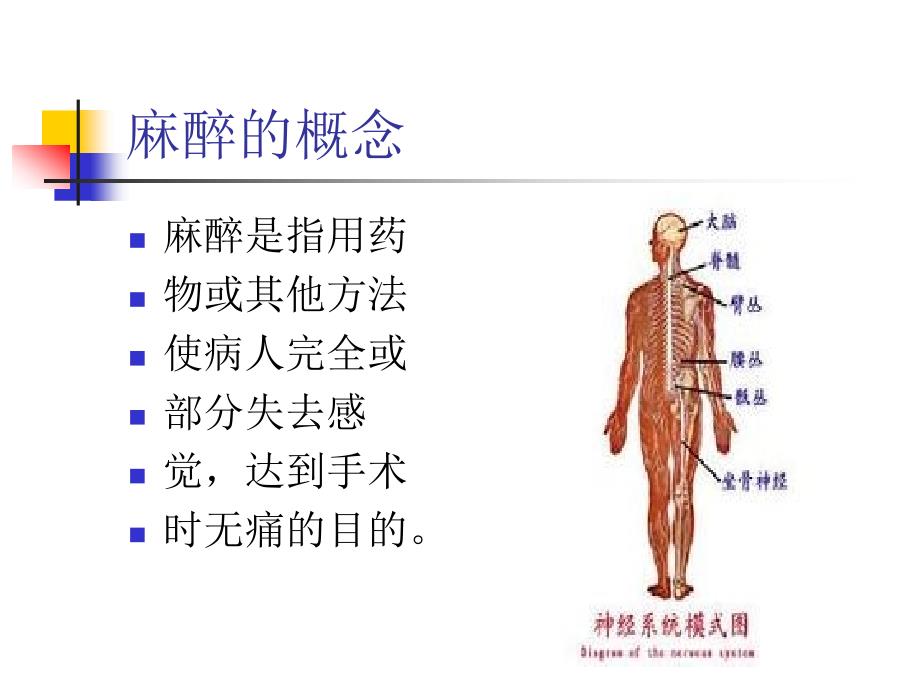 常见麻醉方法及并发症护理_第2页