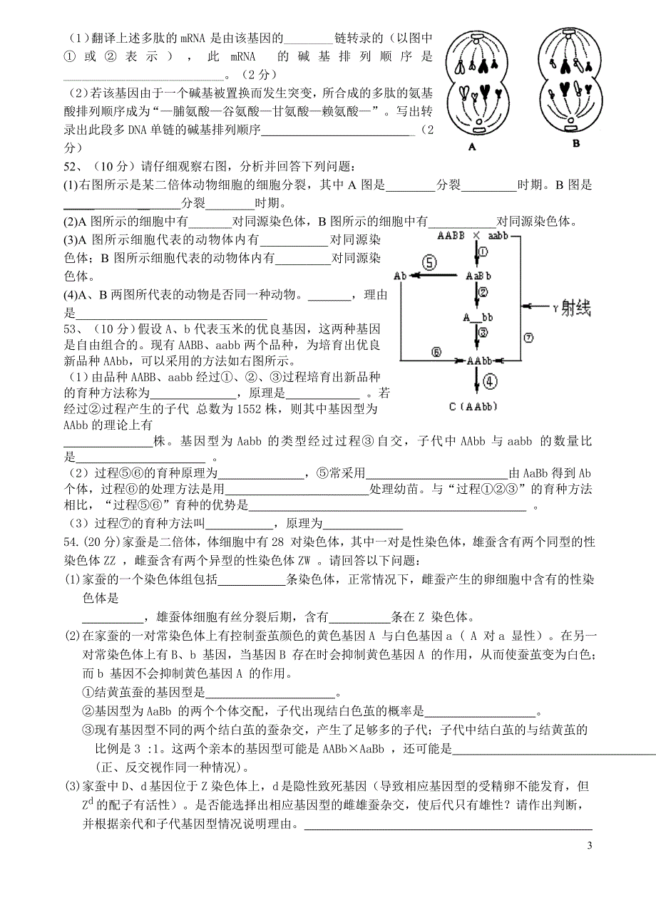 期末生物必修二复习测试（邝红梅）_第3页