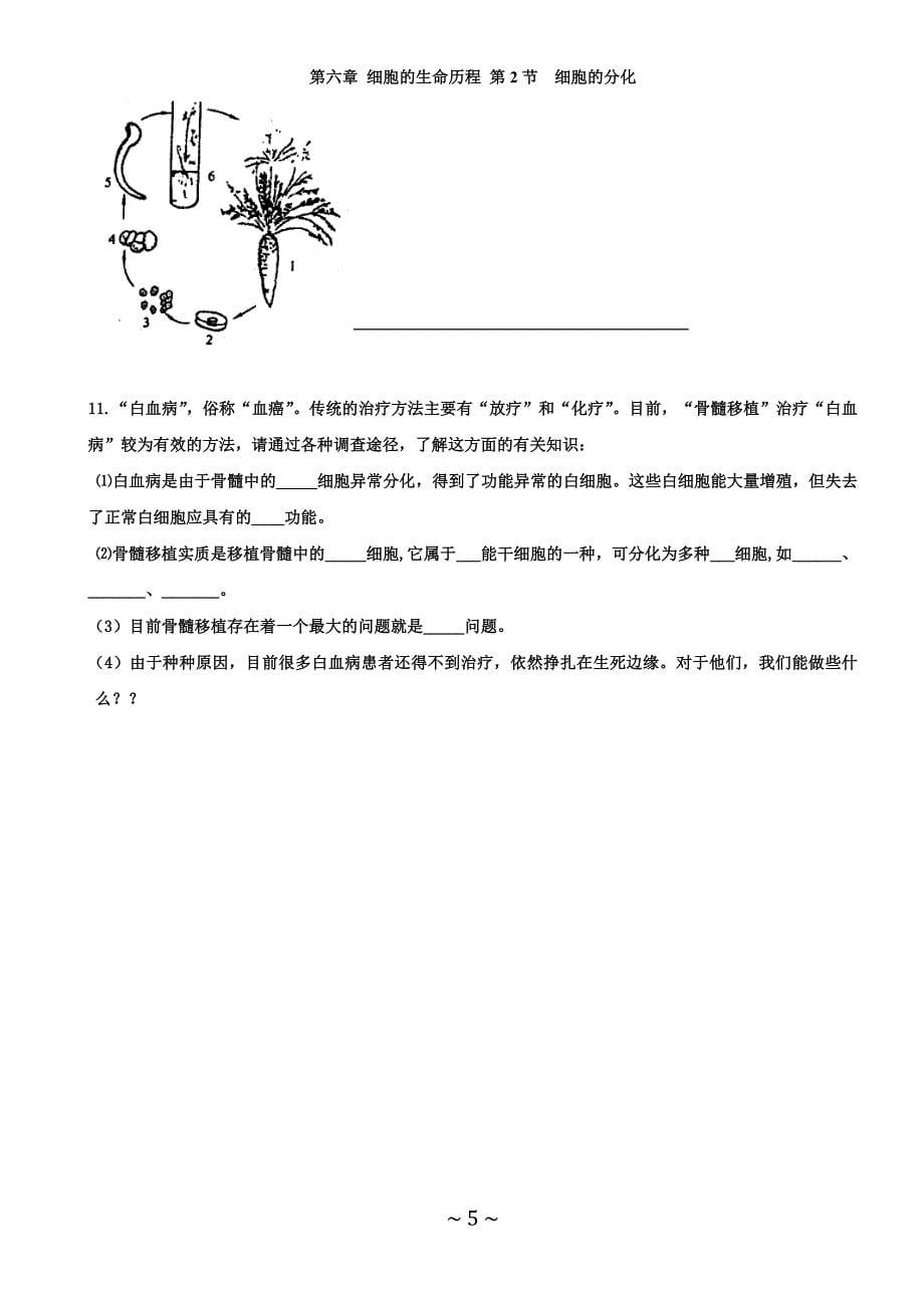 学案：6.2 细胞的分化_第5页