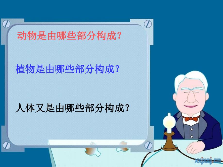 一4搭建生命体的“积木”_第4页