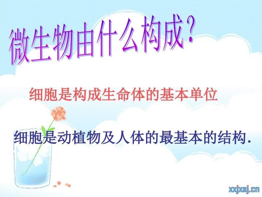 一4搭建生命体的“积木”_第5页