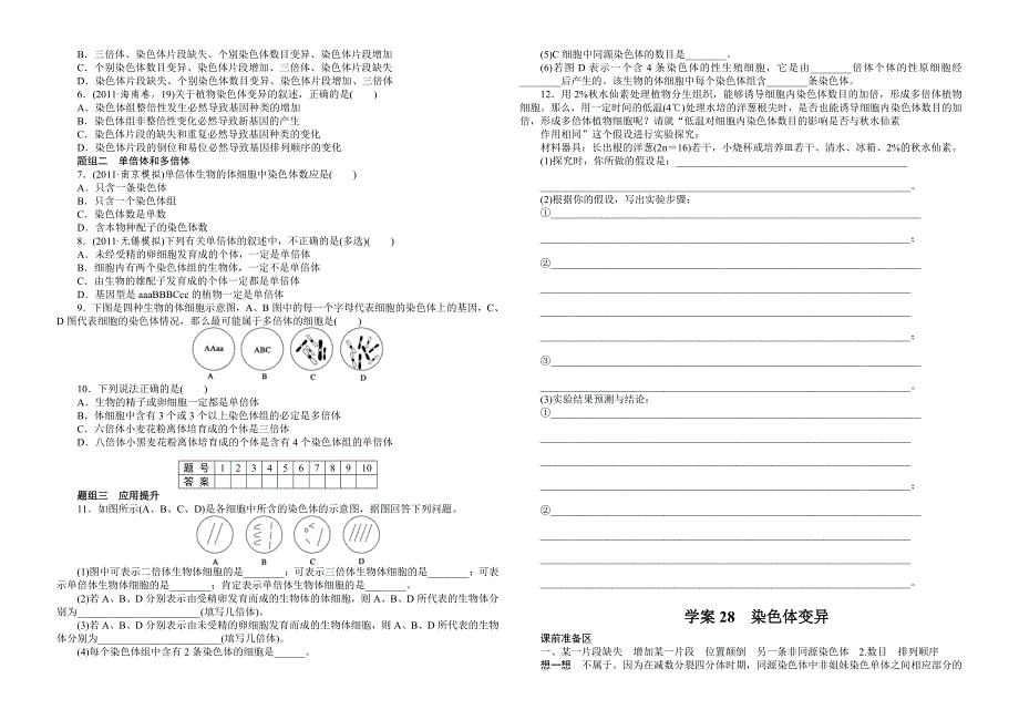 学案28染色体变异_第3页