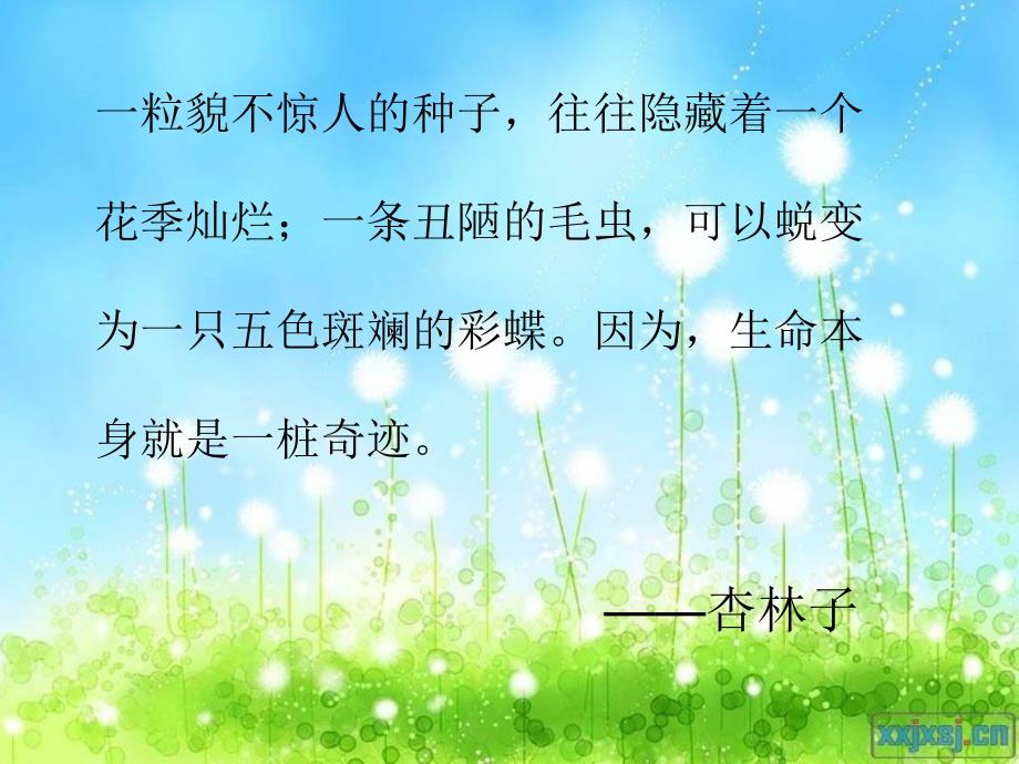 《生命,生命》课件_第1页