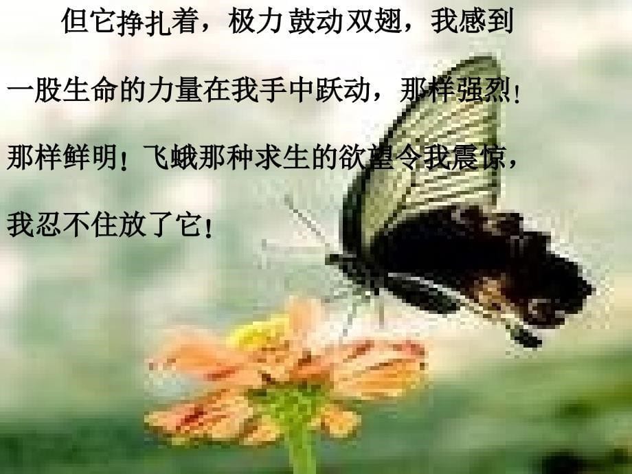 《生命,生命》课件_第5页