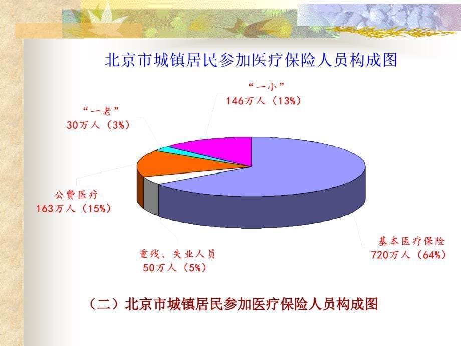 宣武区城镇无医疗保障老年人_第5页