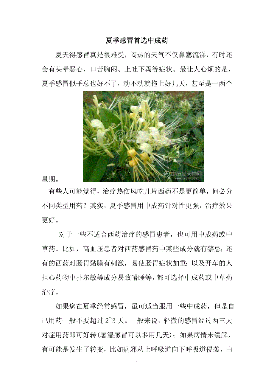 中成药知识宣传_第1页