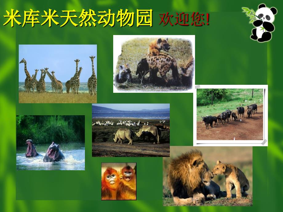（沪教版）四年级语文下册课件 天然动物园漫游记 1_第2页