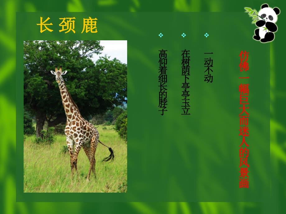 （沪教版）四年级语文下册课件 天然动物园漫游记 1_第3页