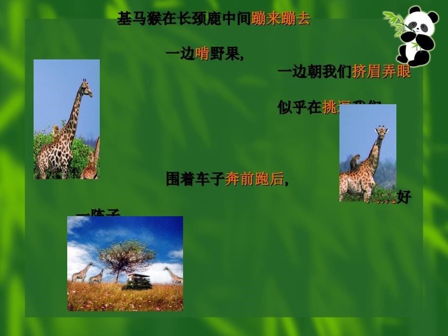 （沪教版）四年级语文下册课件 天然动物园漫游记 1_第5页