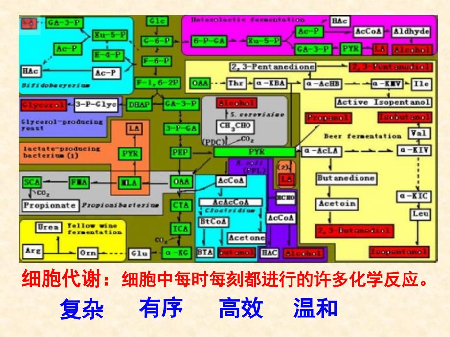 2018届一轮复习（11）酶与细胞代谢-精品课件_第4页