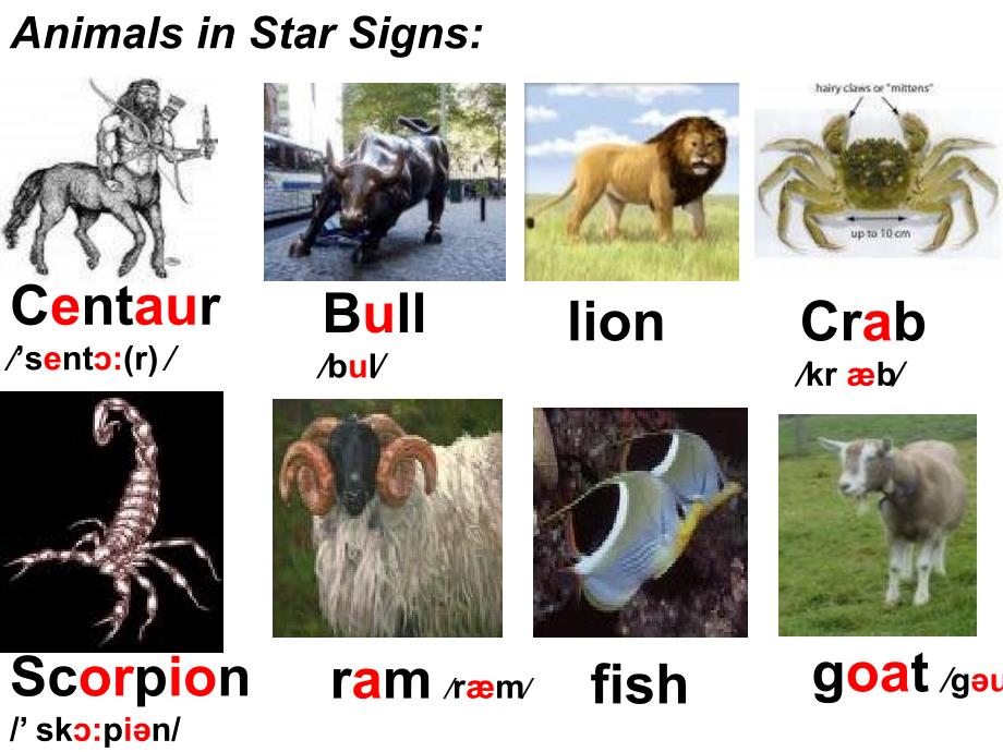 牛津9a unit1 star signs(第一课时) _第4页