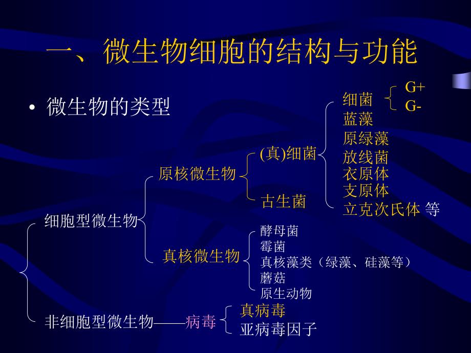 生物奥赛培训教程--微生物学部分_第2页