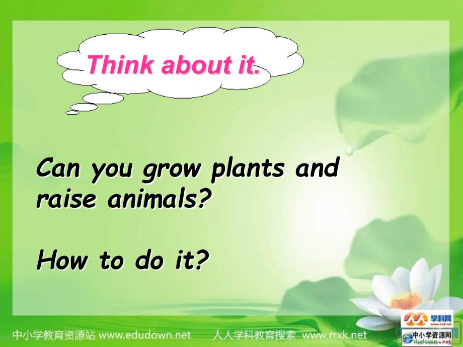 冀教版英语八下《unit 2 plant a plant》（lesson15）ppt课件_第4页