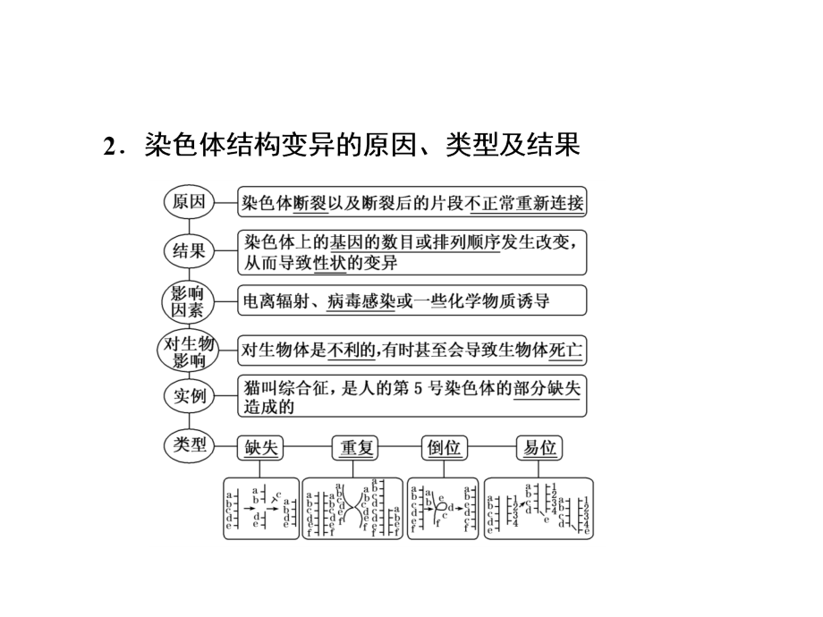 2017-2018学年高一生物苏教版必修二课件：第三章 第三节 染色体变异及其应用_第3页