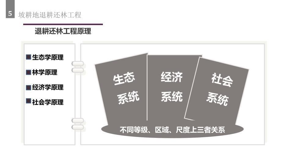 坡耕地退耕还林工程_第5页