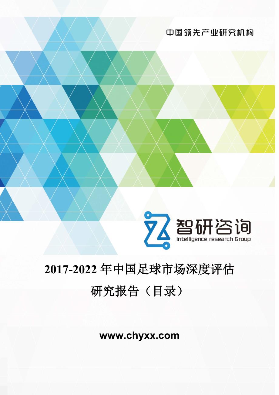 2017-2022年中国足球市场深度评估研究报告(目录)_第1页