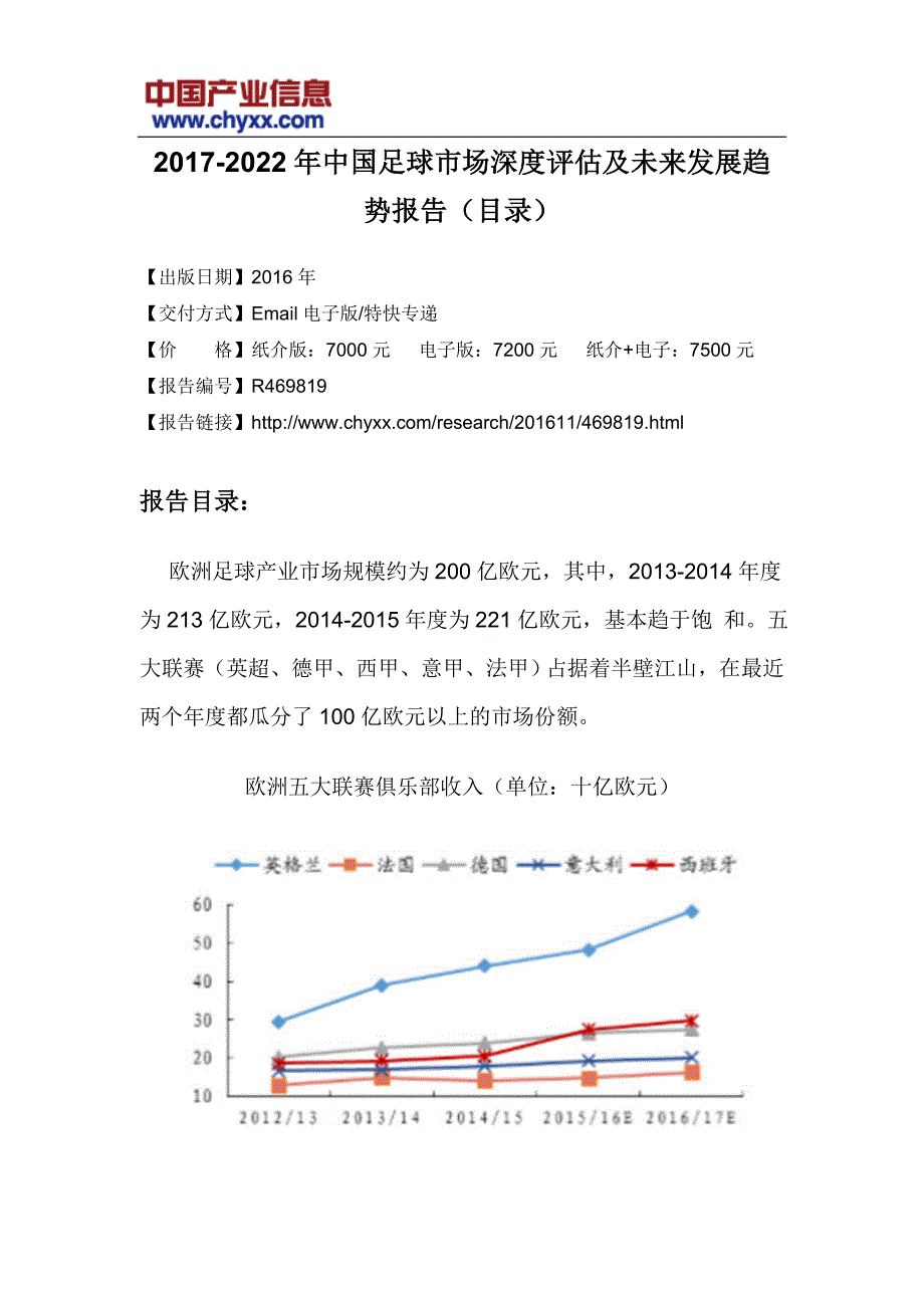 2017-2022年中国足球市场深度评估研究报告(目录)_第3页