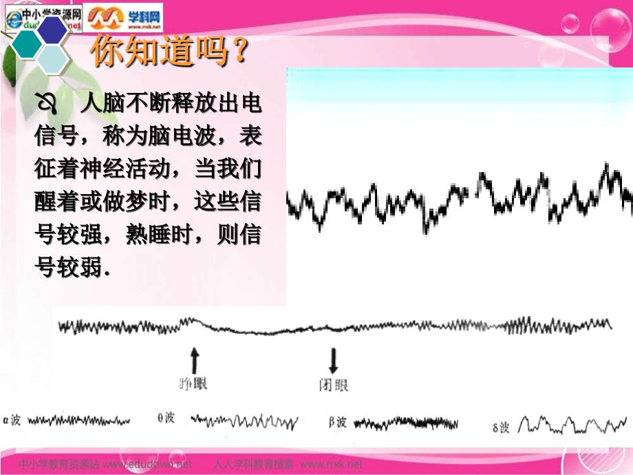 浙科版生物必修3第二节《 神经系统的结构与功能》ppt课件_第1页