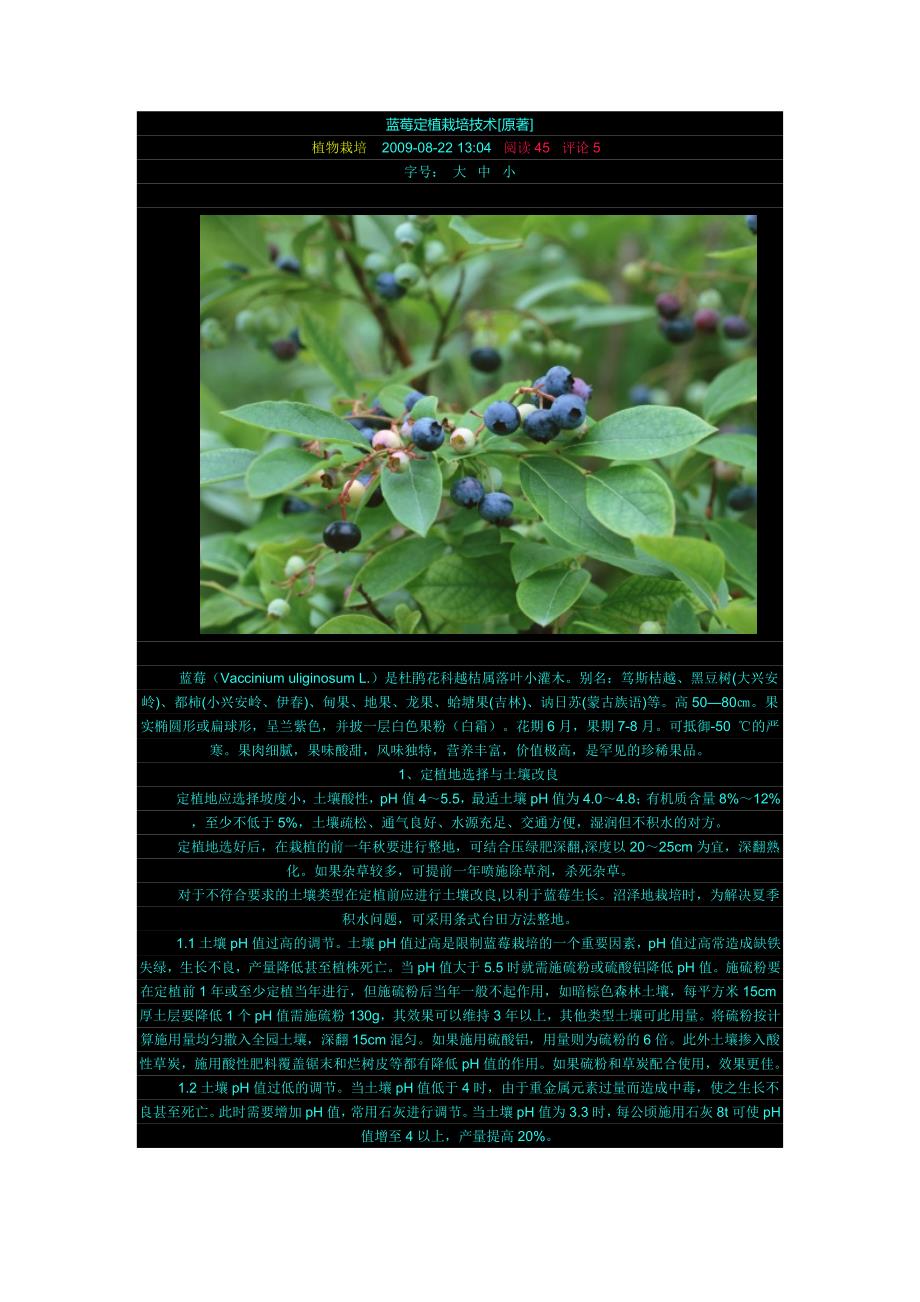 蓝莓定植栽培技术_第1页