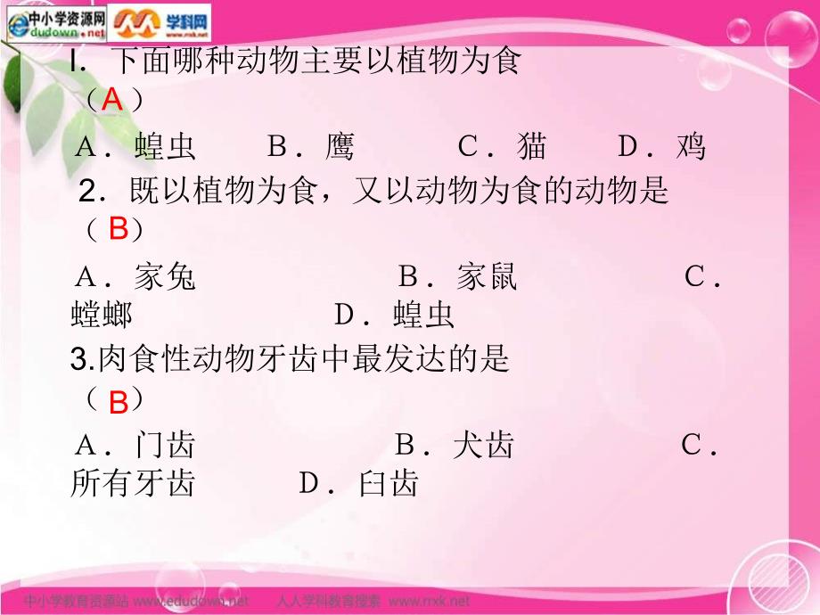 冀教版生物八上第二章《动物的运动与饲养场所》ppt课件_第2页