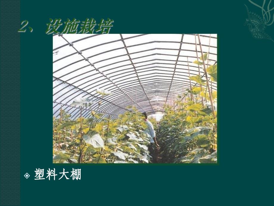 中图版生物选修2第五节《 设施农业》ppt课件_第4页