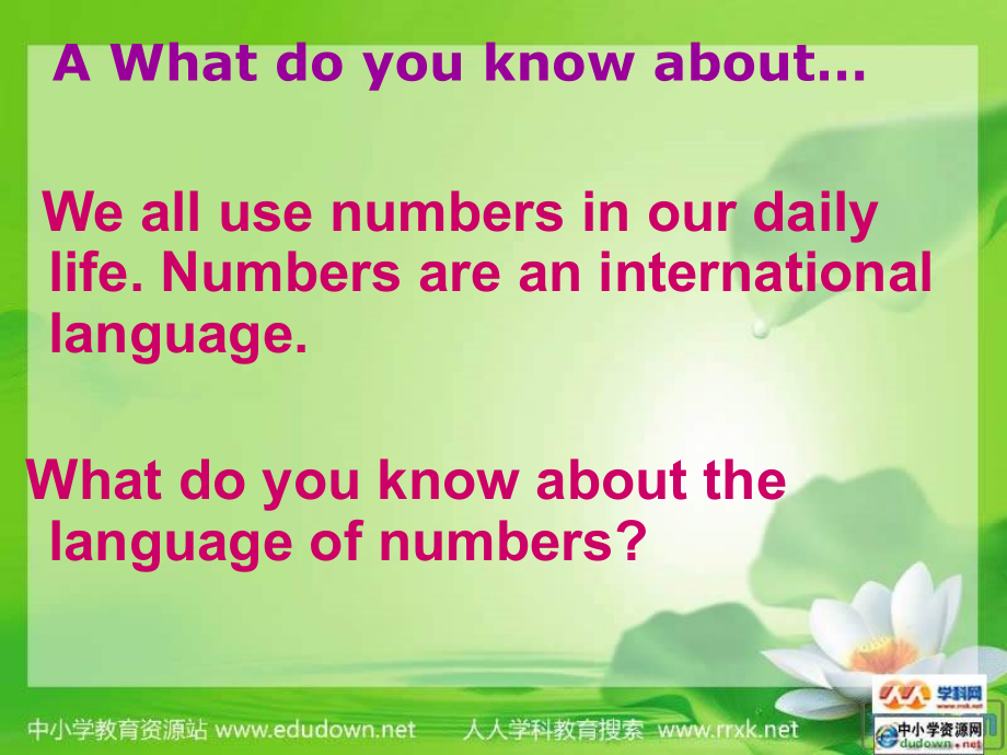 牛津深圳版英语七上7.4《the world of numbers》ppt课件之一_第4页